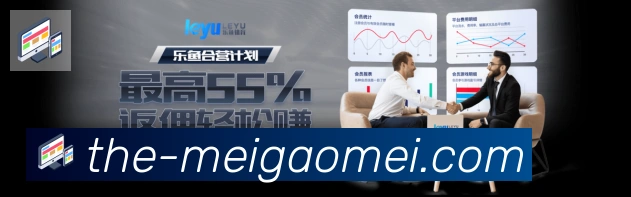 数据防护可视化